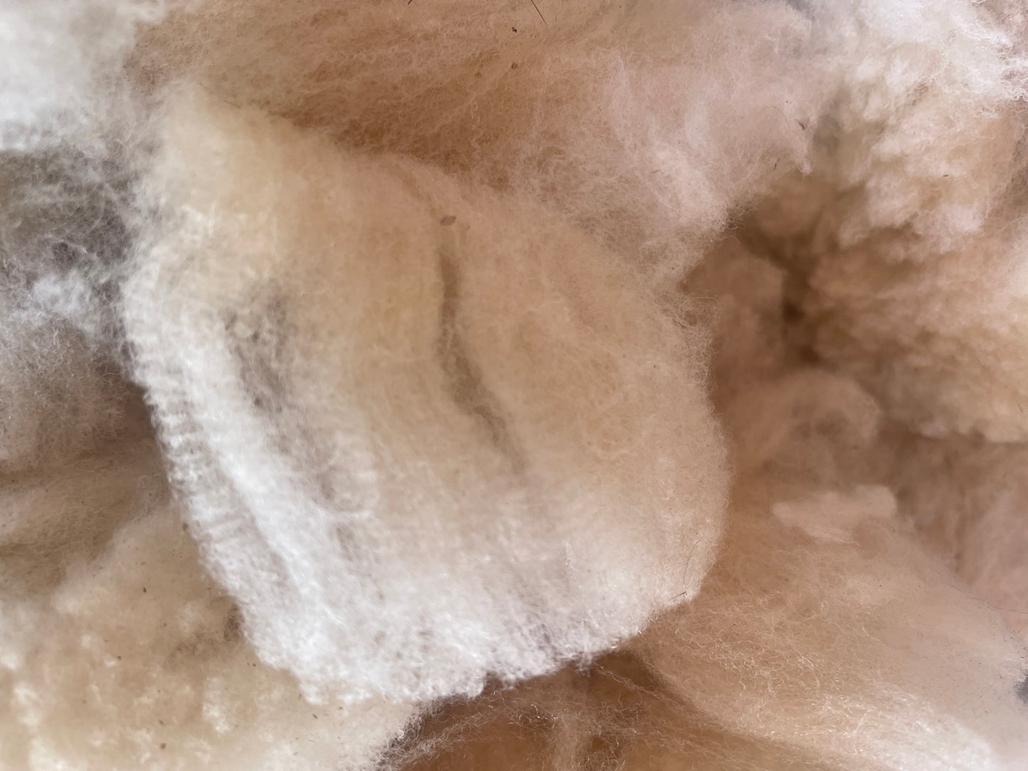 Buckley’s Fleece