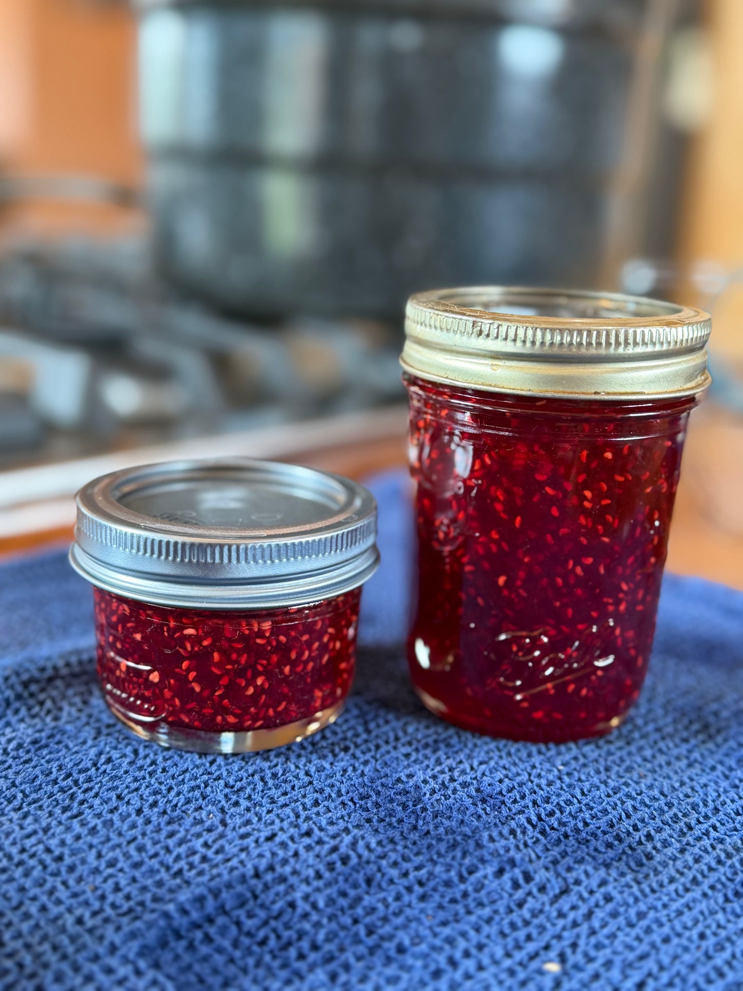 Raspberry Jam-mini 4oz