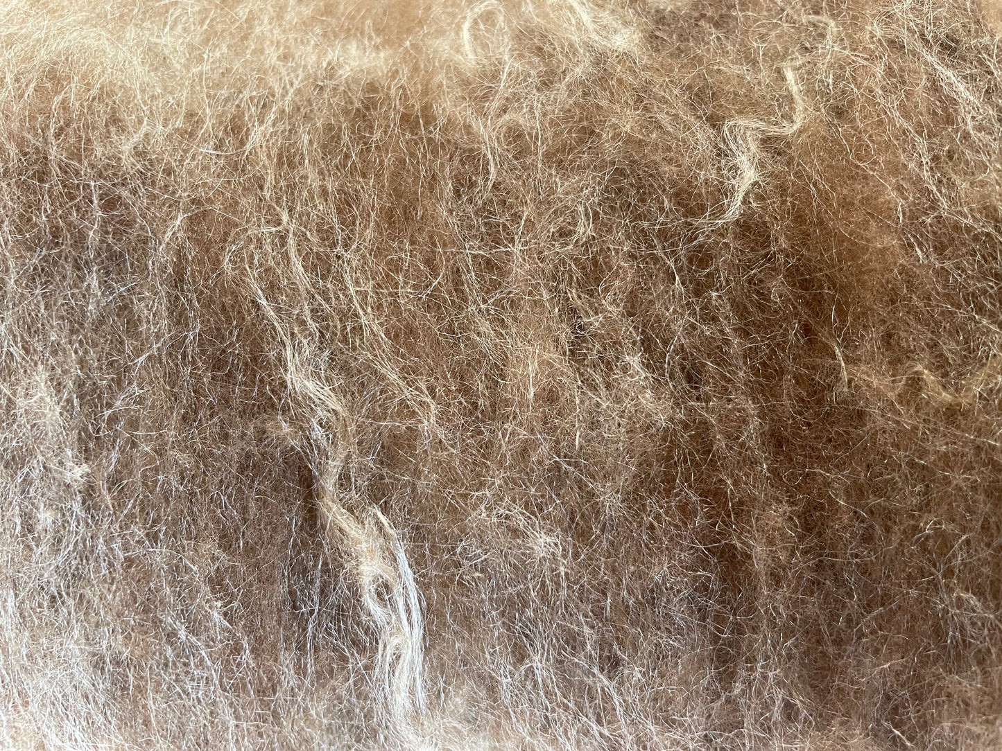 Pixie Dust Batt-Mystery+Muga