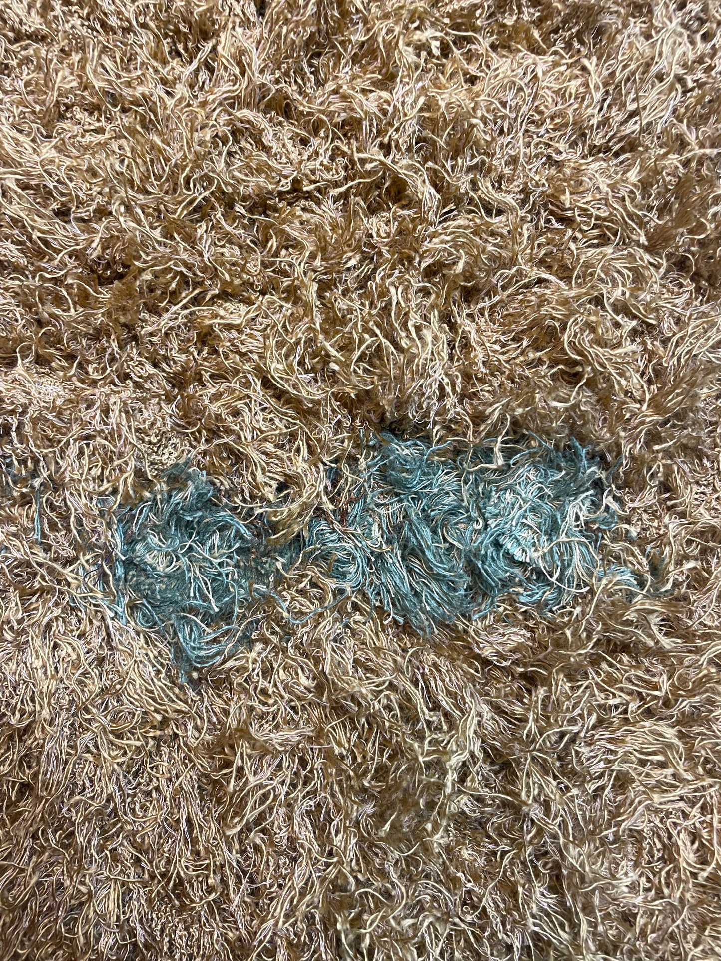 Teddy bear rug