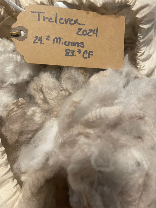 Washed Merino-Treleven