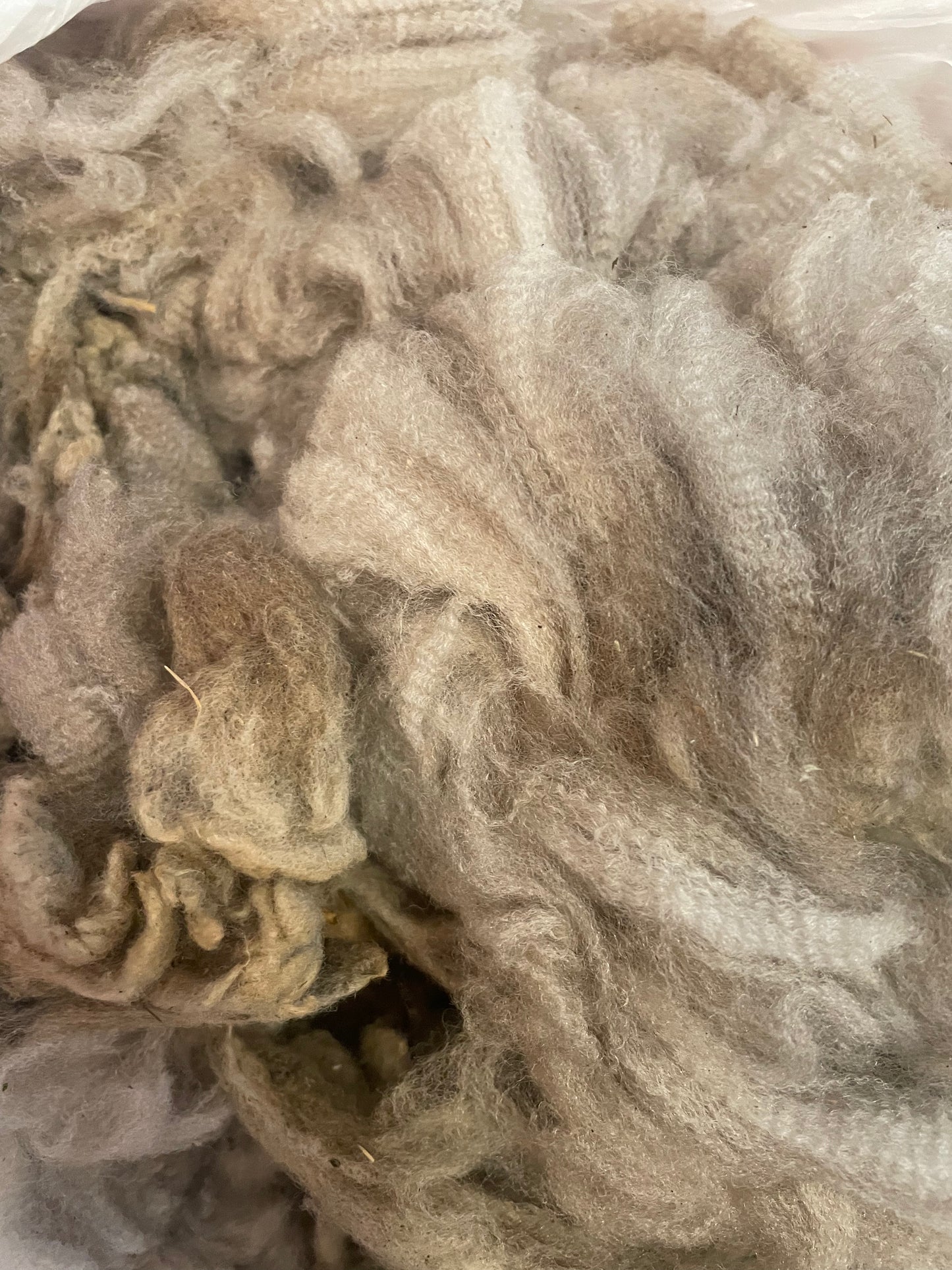 Firecracker neck fleece